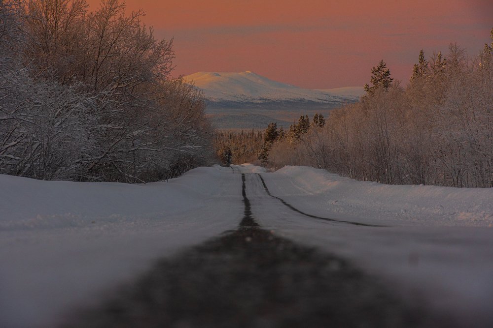 Photograph by Николаева Светлана