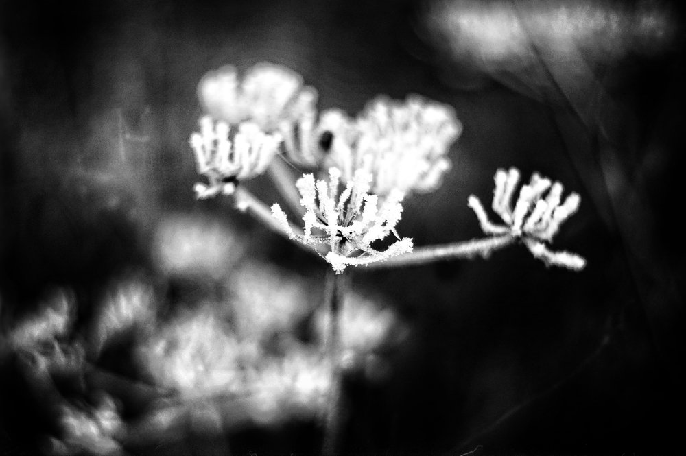 Photograph by Игорь Маслов