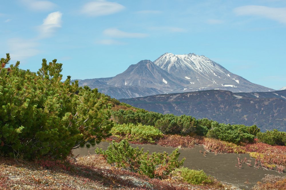 Photograph by Алексей Ознобихин