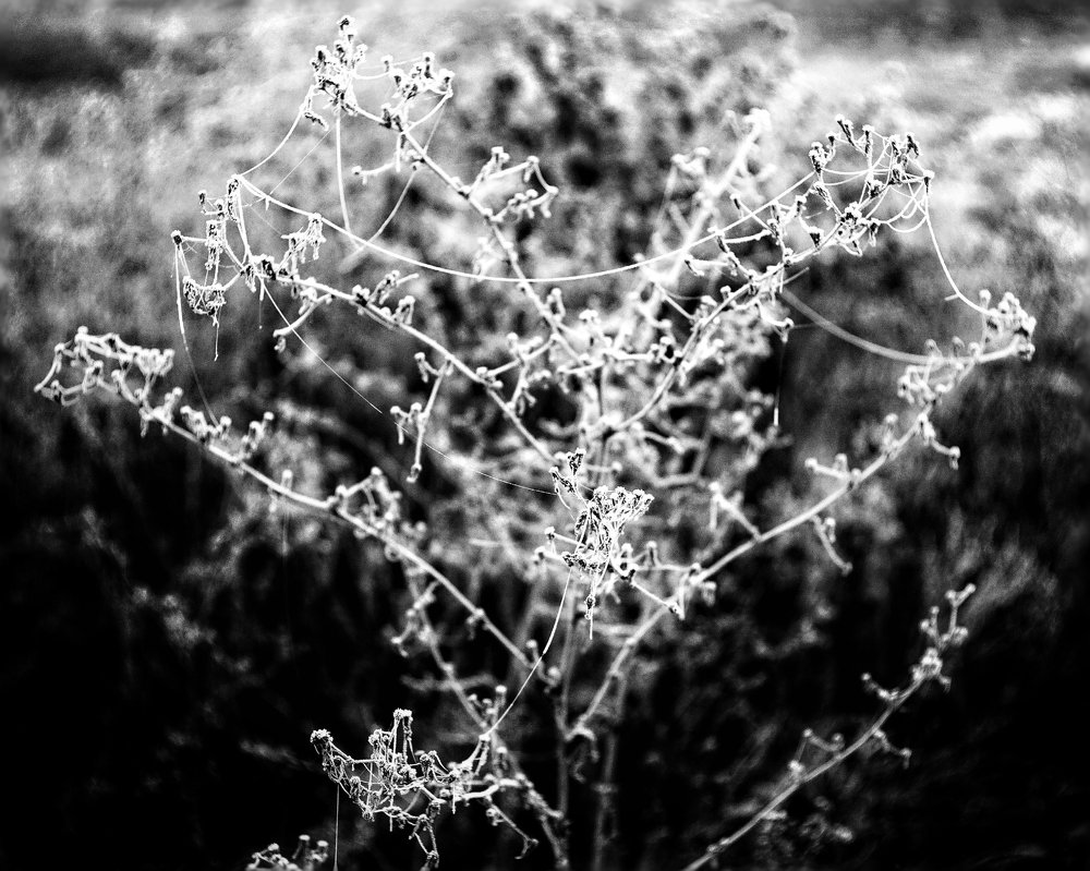 Photograph by Игорь Маслов