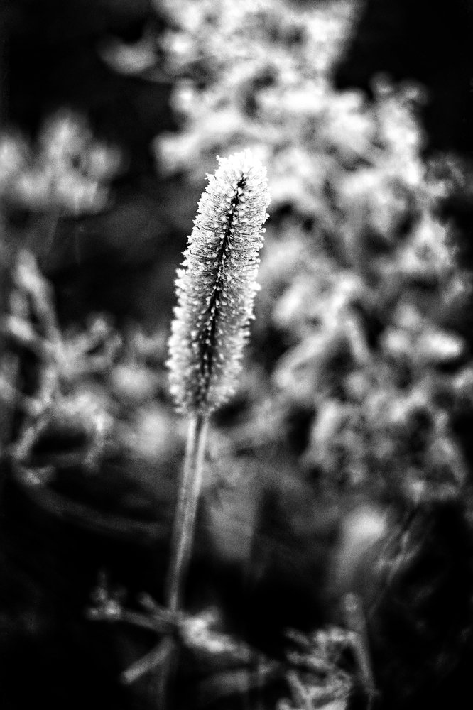 Photograph by Игорь Маслов