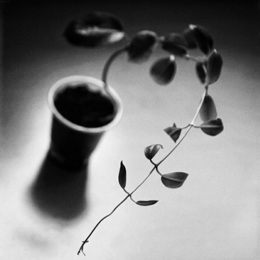 Photograph by Игорь Маслов