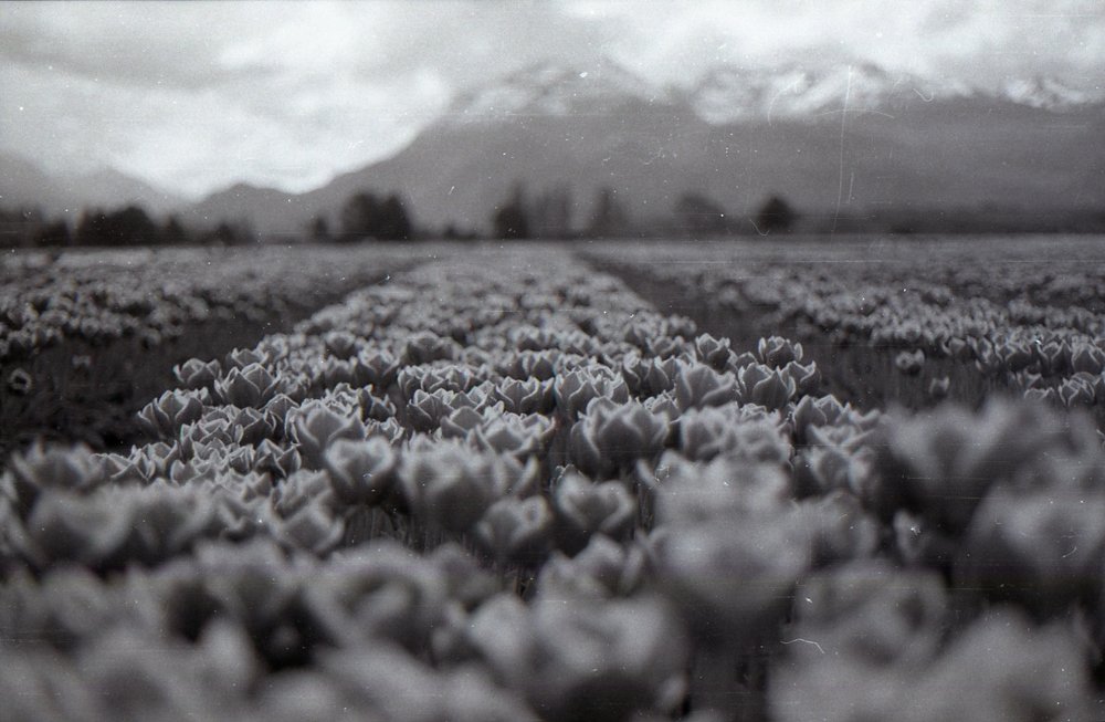 Photograph by jeremias casares