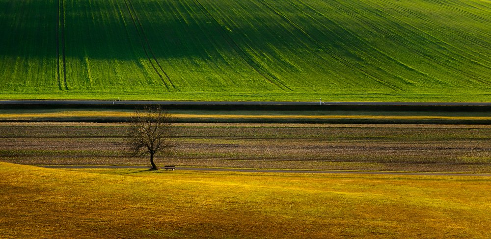 Photograph by Sergey Yakovlev