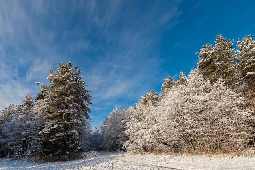 Photograph by Андрей Сериков