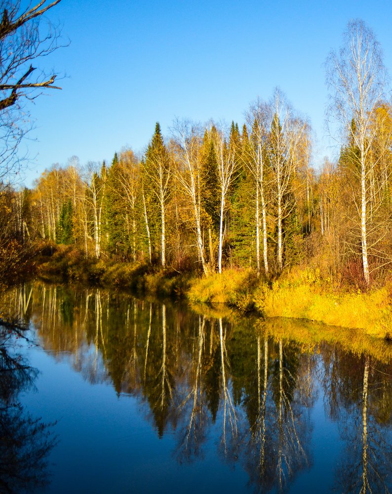 Осенняя пора