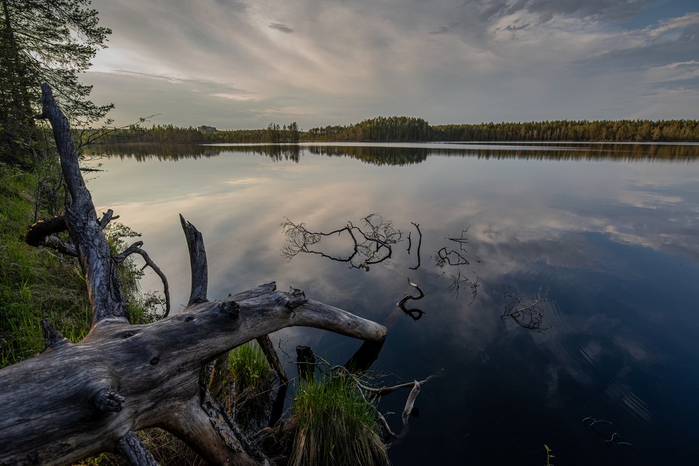 Photograph by Андрей Сериков