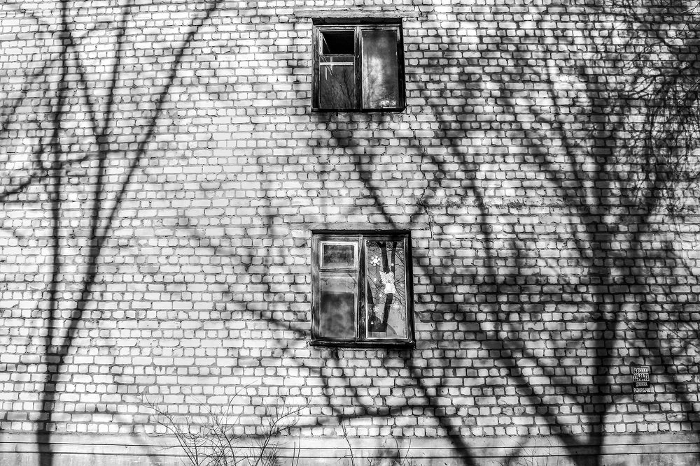 Photograph by Наталья Коньшина