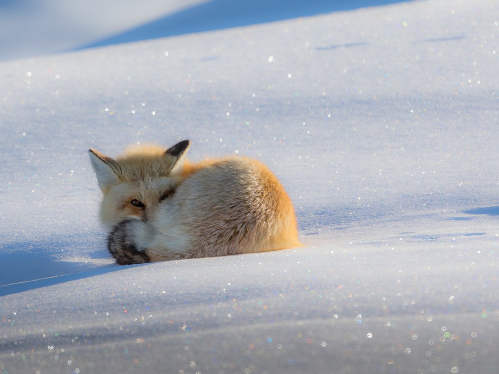 Photograph by Dane Madsen