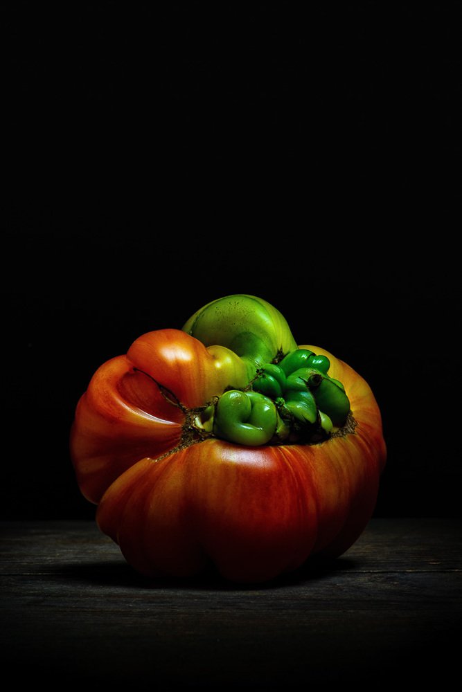 TOMATO MOSNTER PUMPKIN