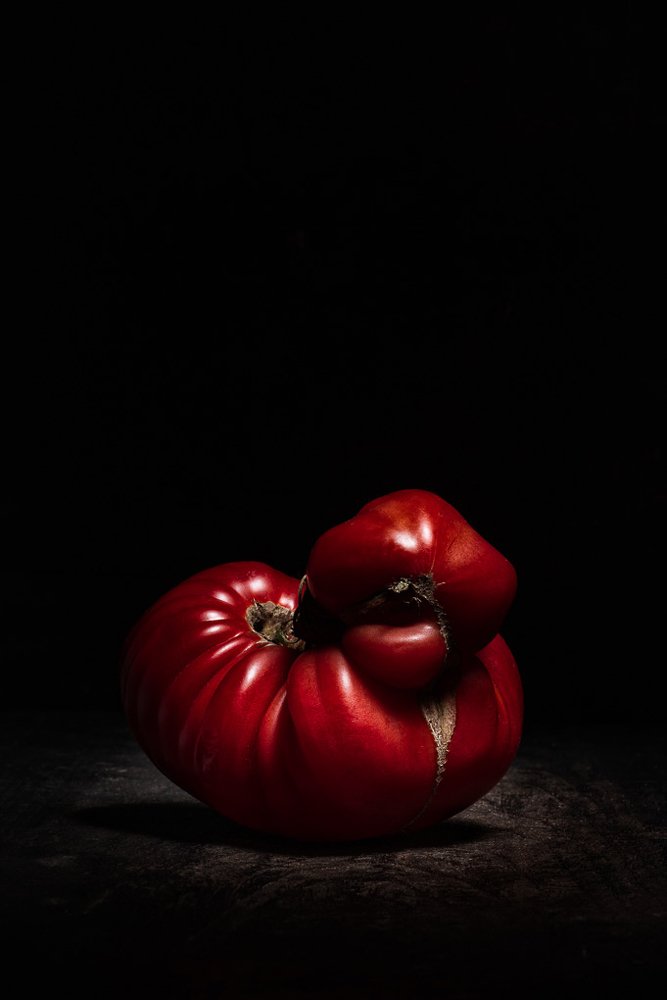 Monster Tomato earthworm