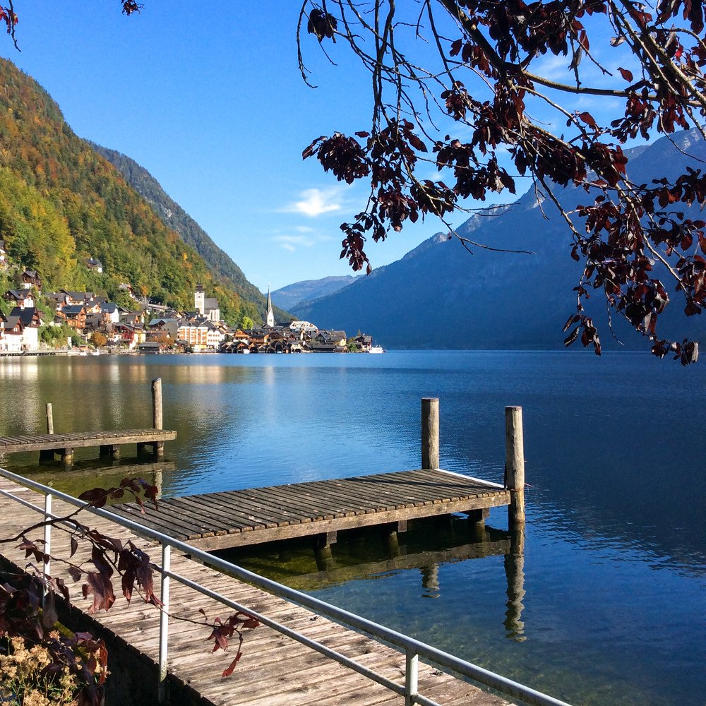 Photo #4197653