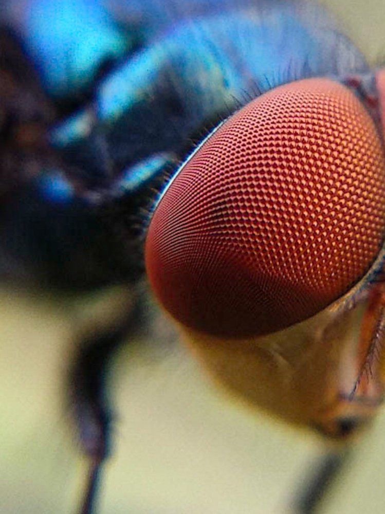 Photograph by Faiyal Ahmed