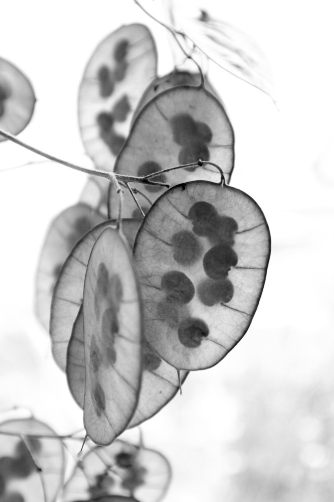 Photograph by Марина Шамич