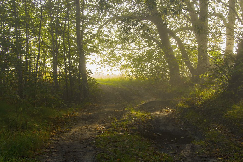 Photograph by Игорь Егоров
