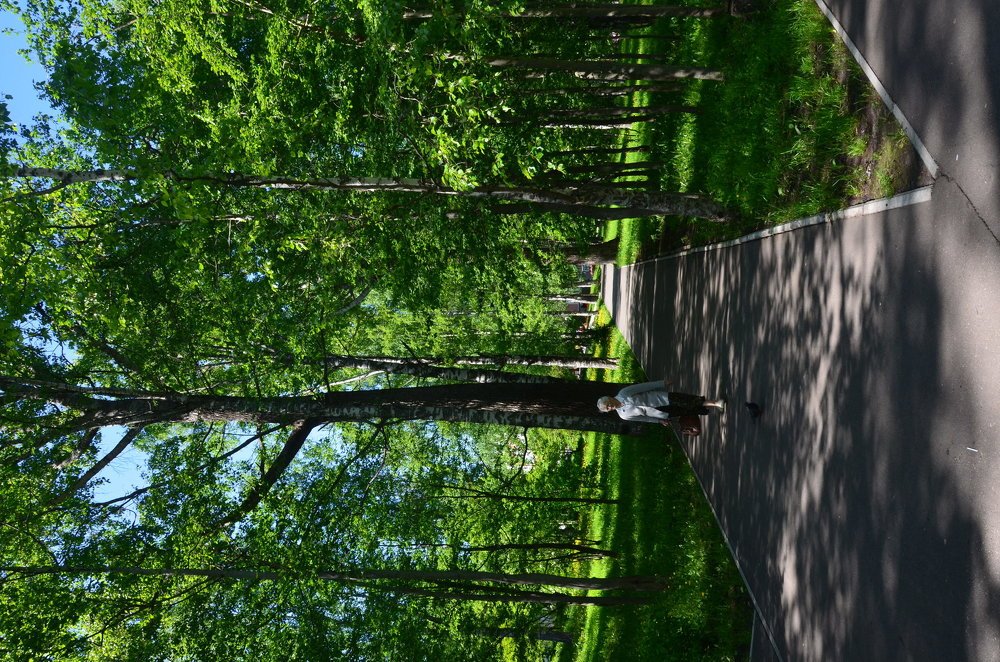 Photograph by Valentina