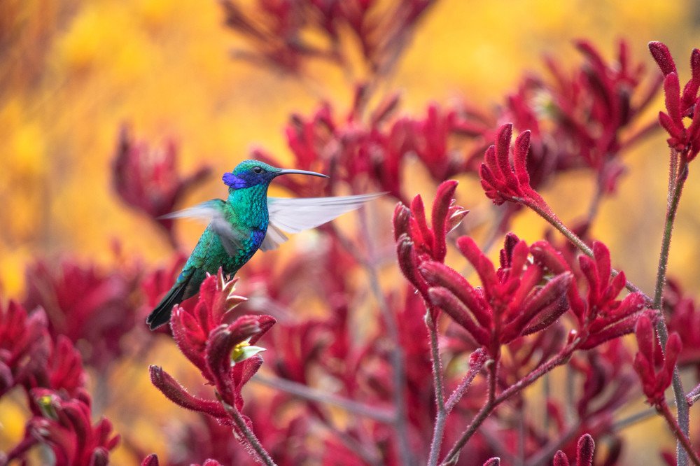 Photograph by Sofía Ballesteros