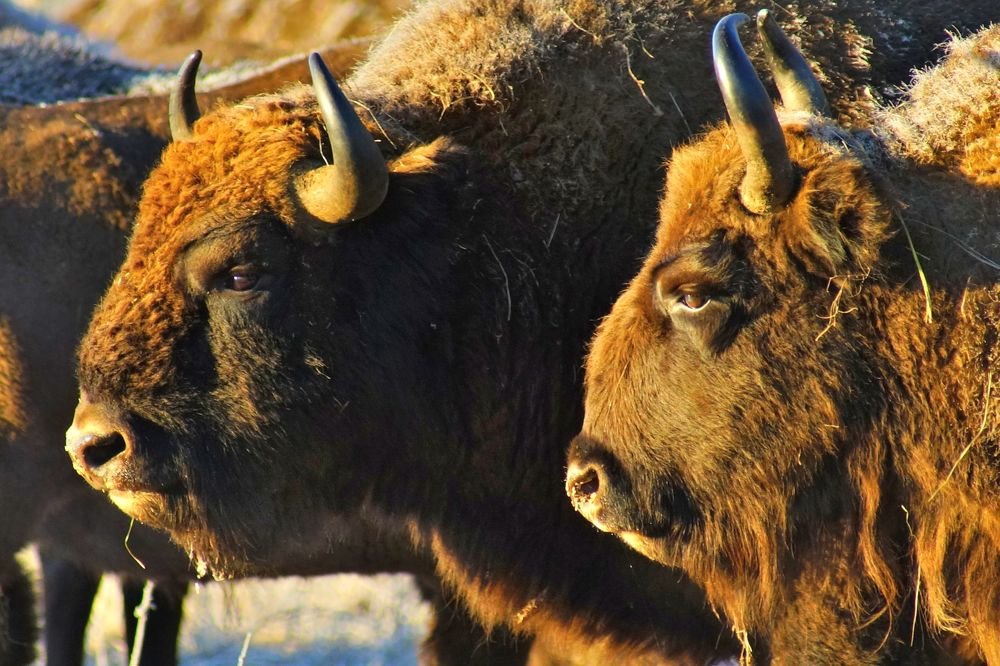 Photograph by Михаил