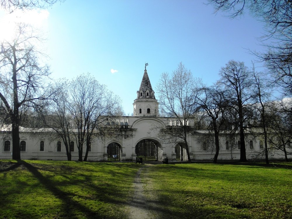 Photograph by Елена Коробкина