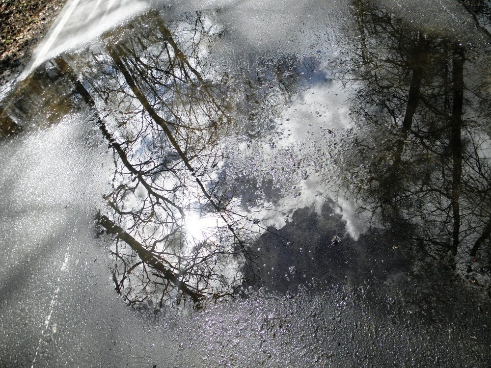 Photograph by Елена Коробкина