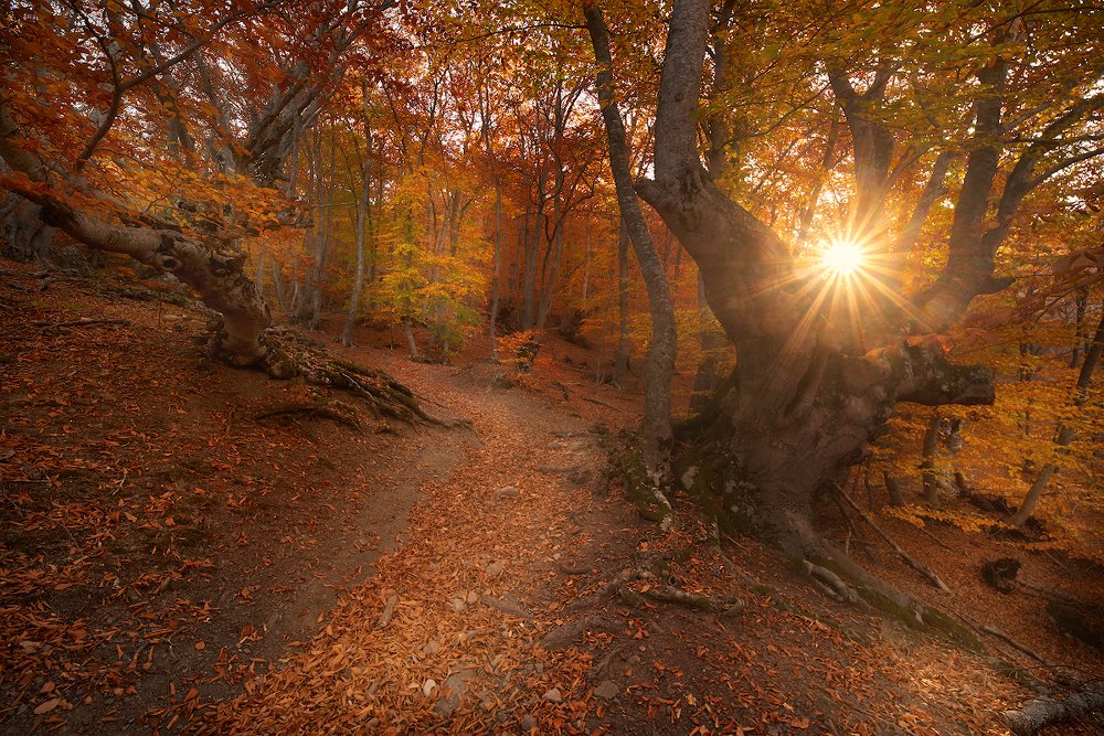 Озарённый лучом.