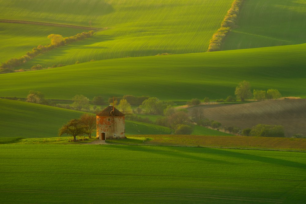 Photograph by Романский Владимир (NikonZoom)