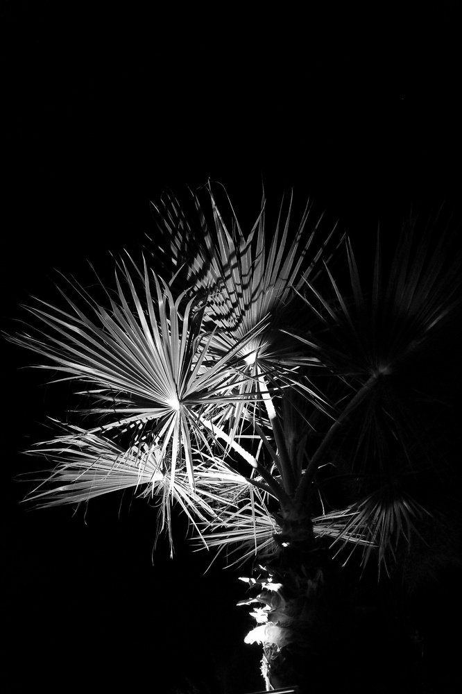 Photograph by Марина Шамич