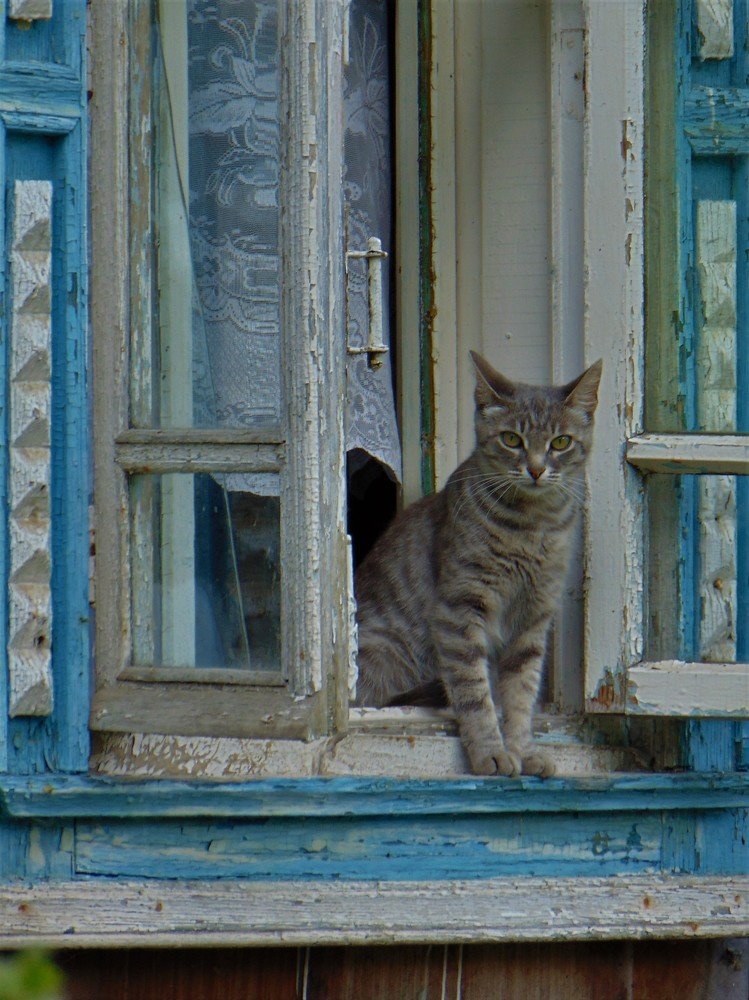 Photograph by Ольга Шевцова