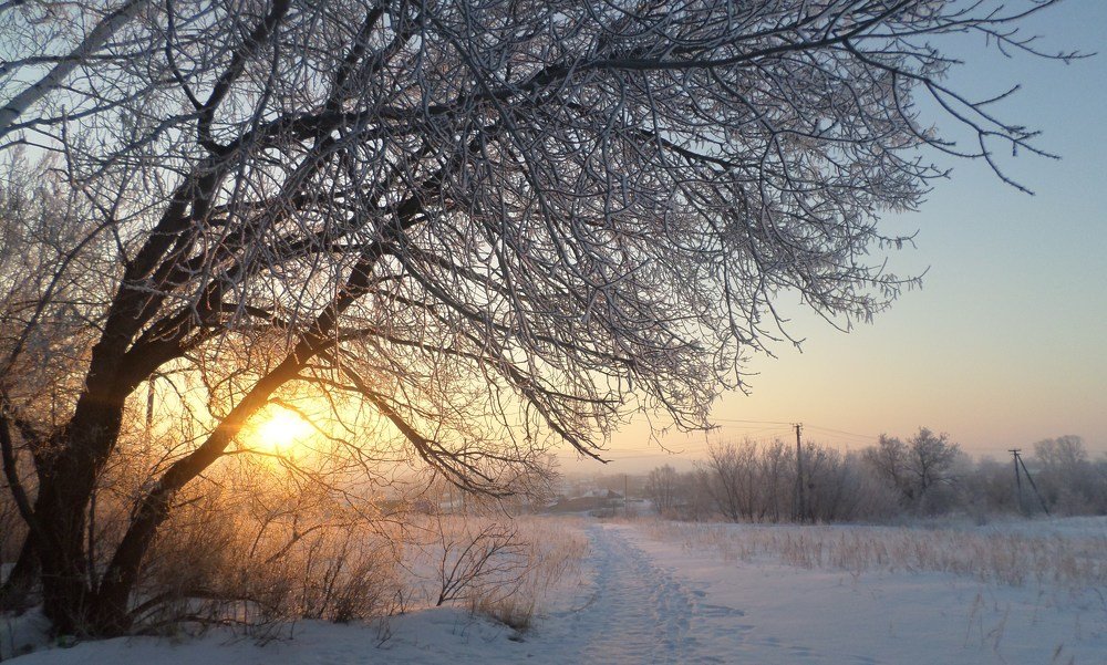 Зимнее утро!