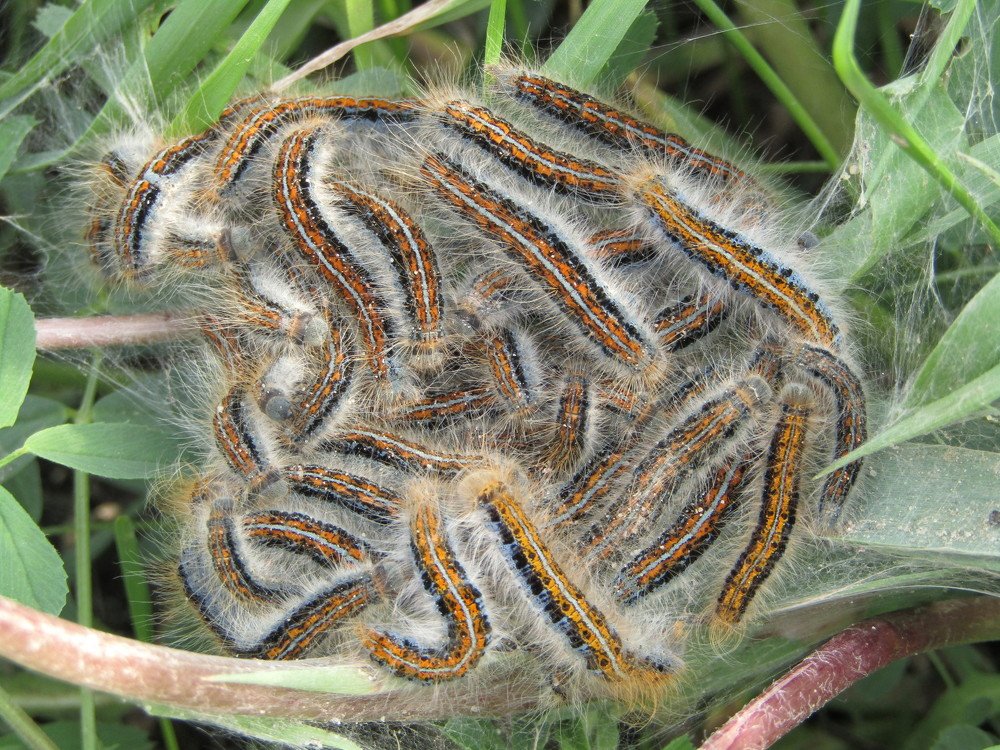 Photograph by Сергей Яценко