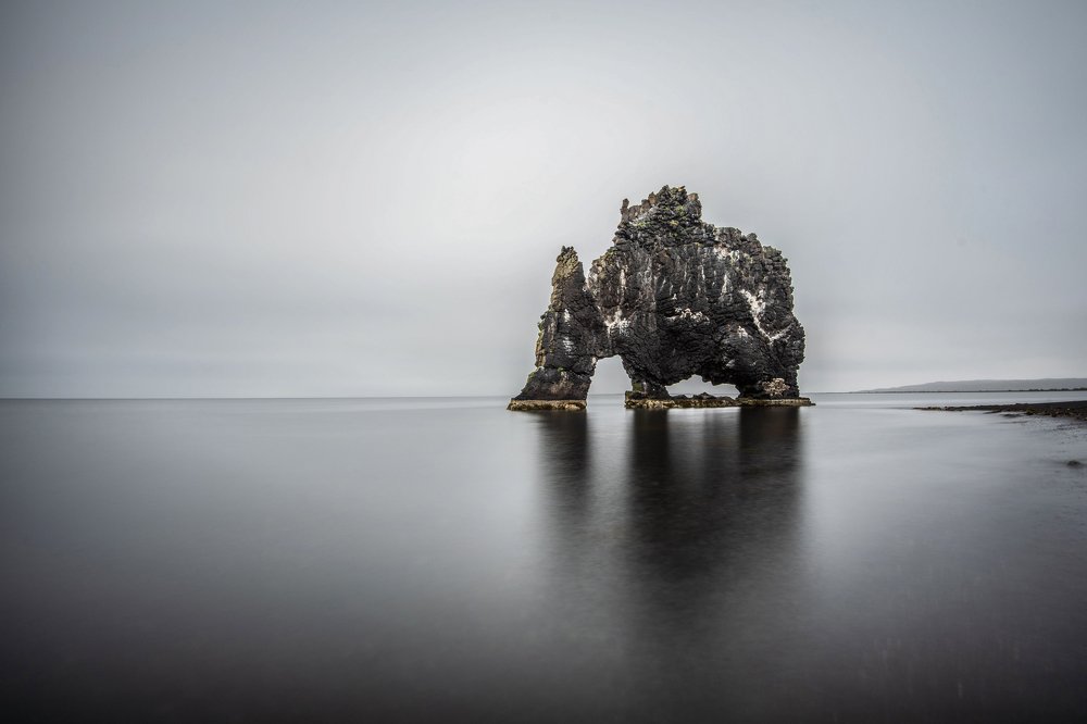 слон на льду