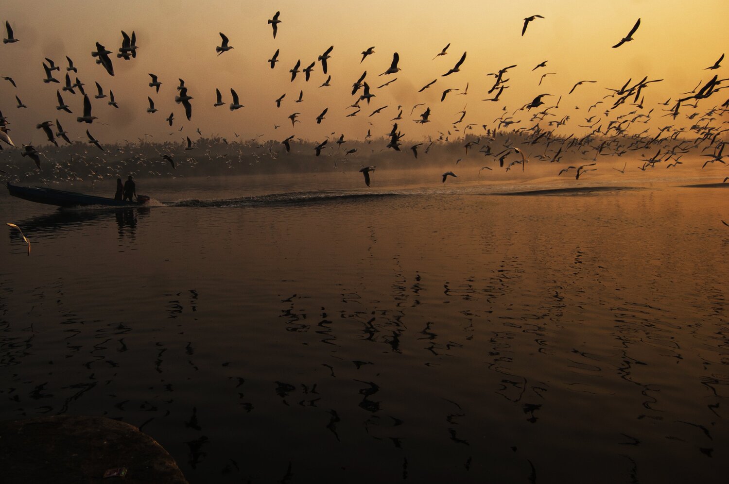Photo #4198424