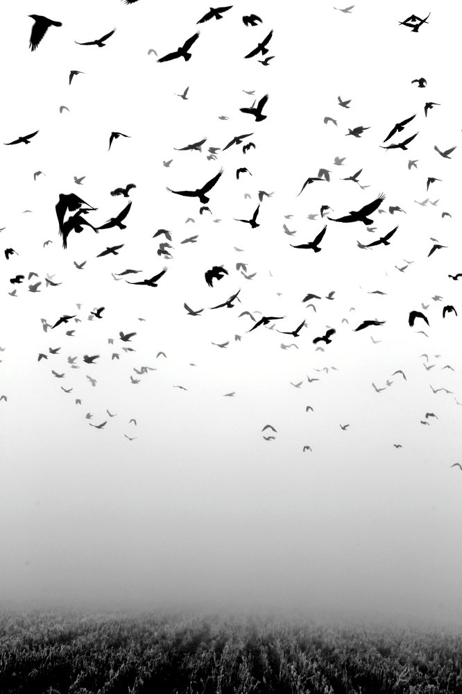 Photograph by Dzintra Zvagina