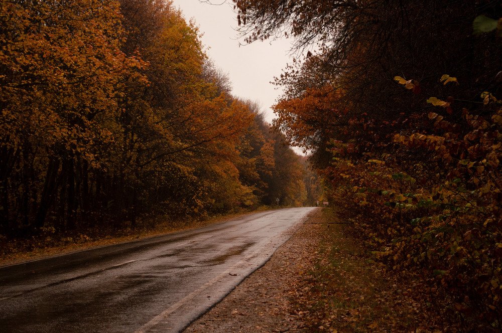 Photograph by Анна Толмачёва