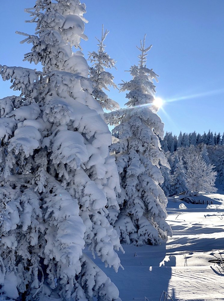 Photograph by Olgasandller