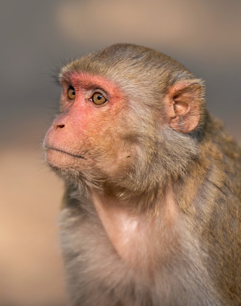 Photograph by Md. Ruhul Amin Farid