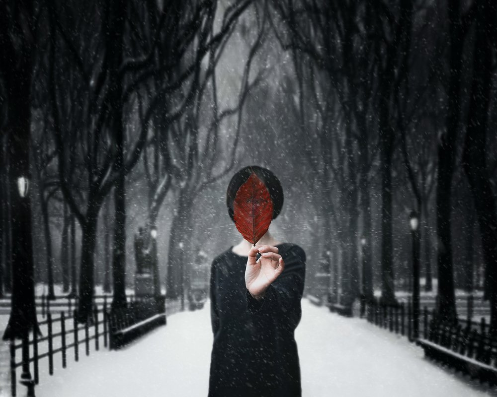 Фотография автора Сергей Фетт