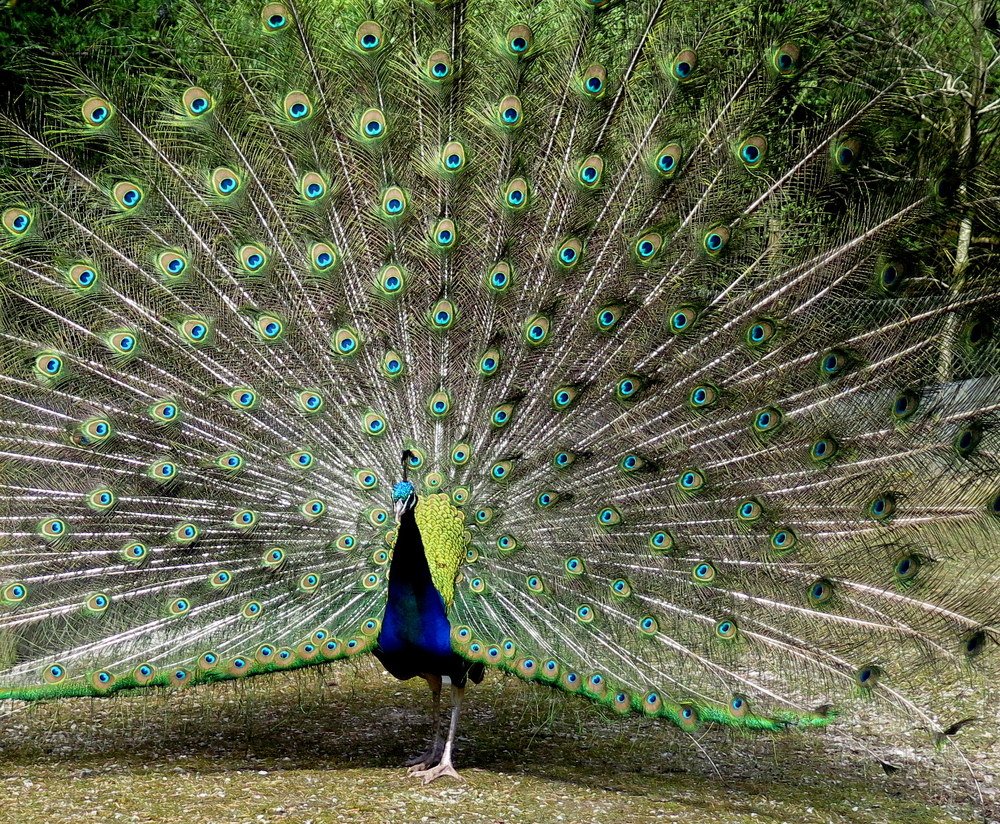 Фотография автора Ольга Завадилика