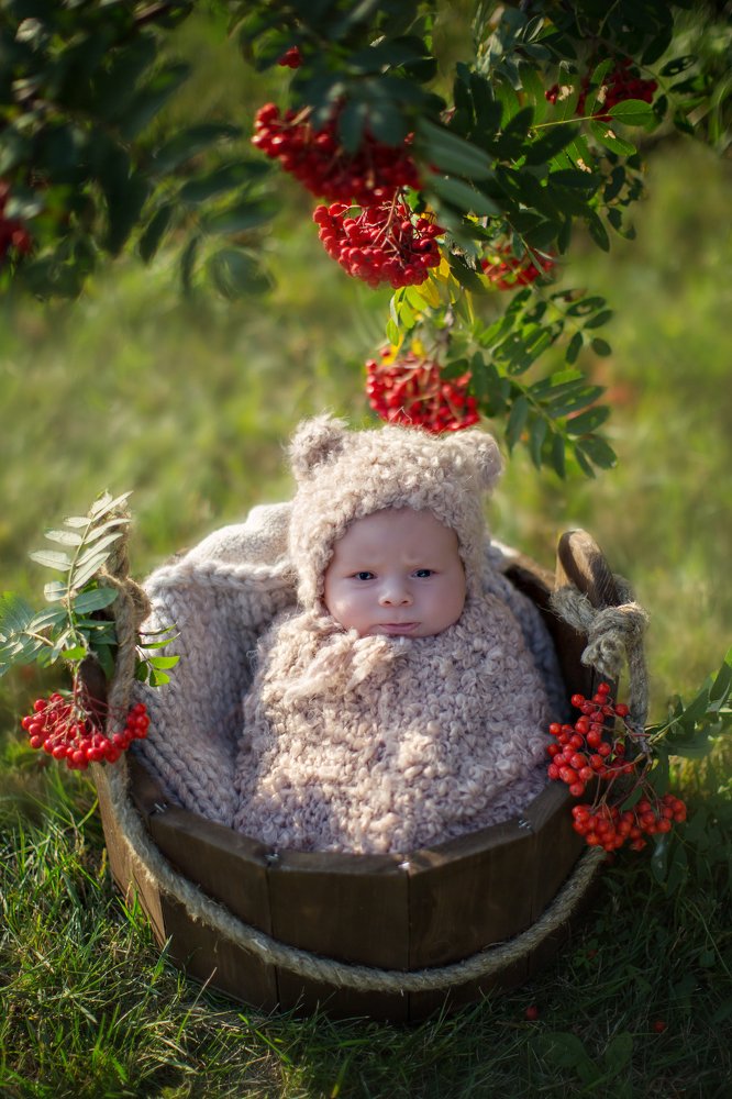 Photograph by Наталья Альбрехт