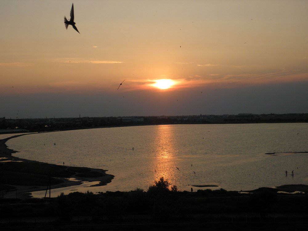 Photograph by Елена Коробкина