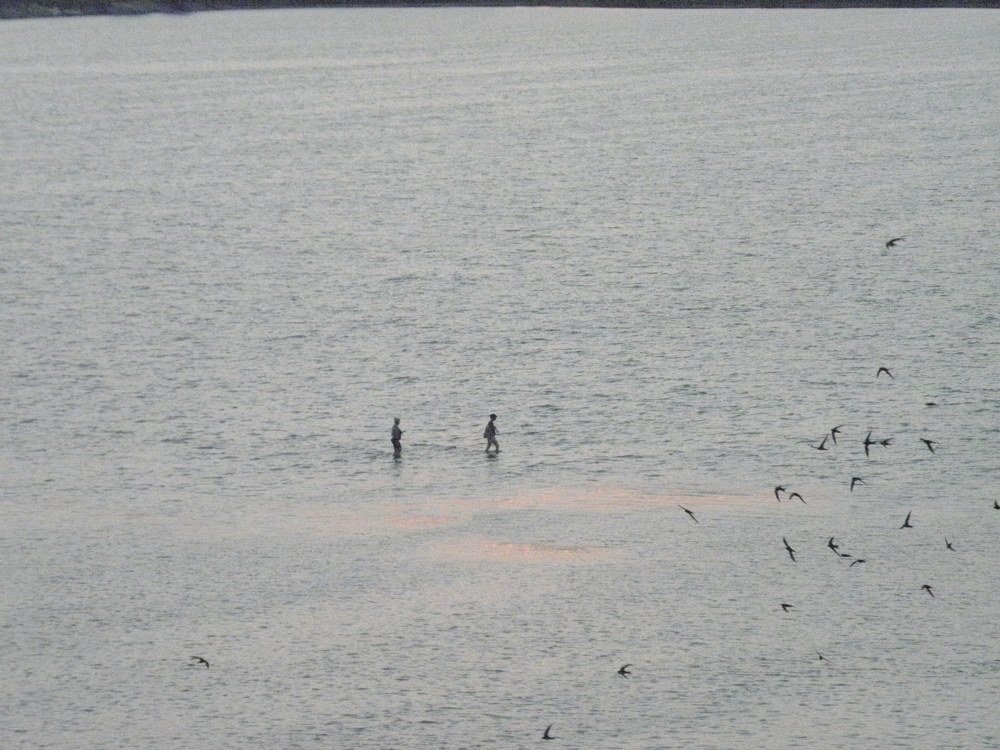 Photograph by Елена Коробкина