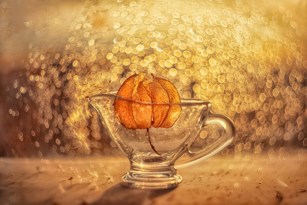 Солнечный дождь