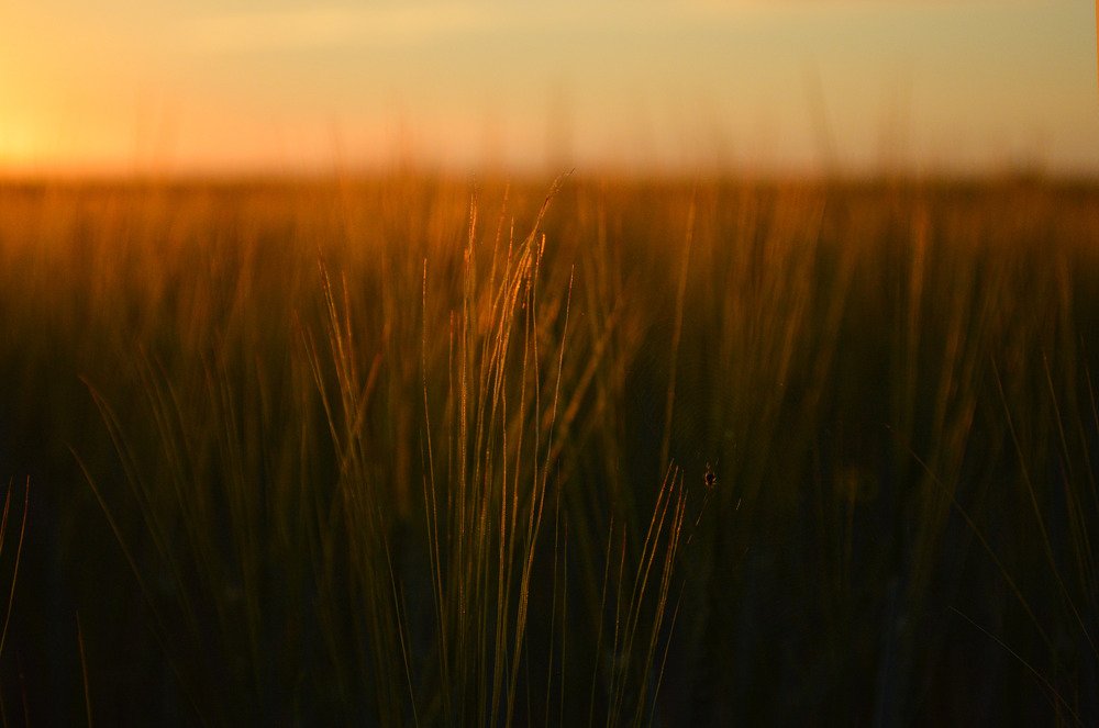 Photograph by Анна Толмачёва