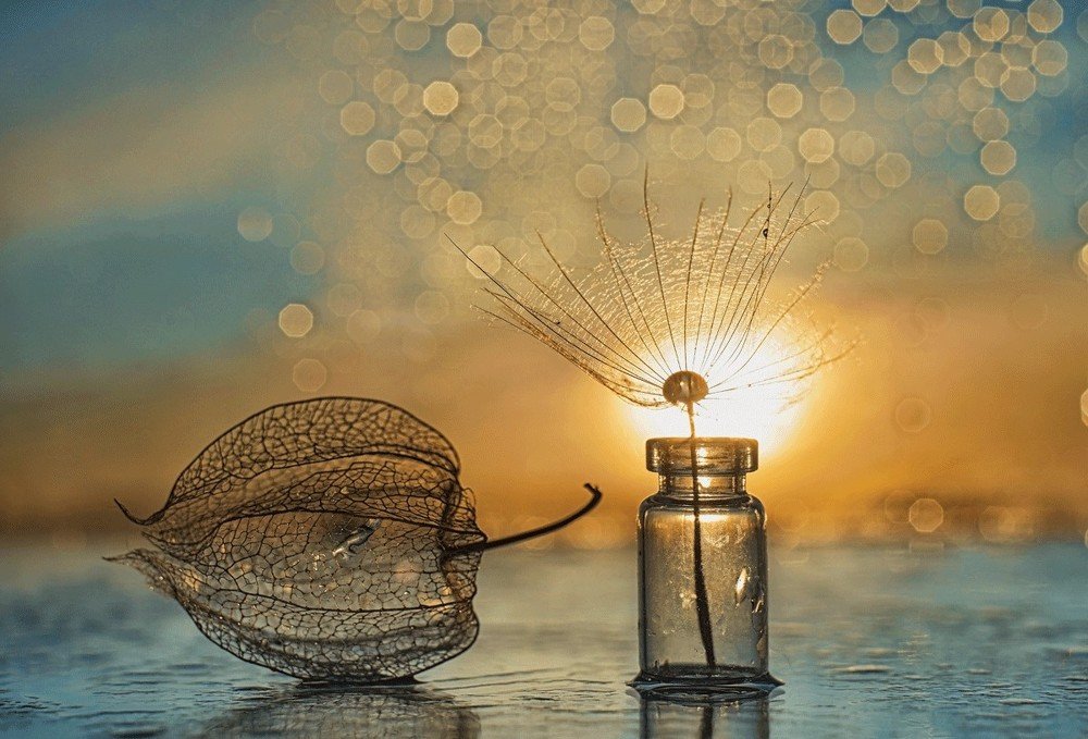 Немного солнца в холодной зиме