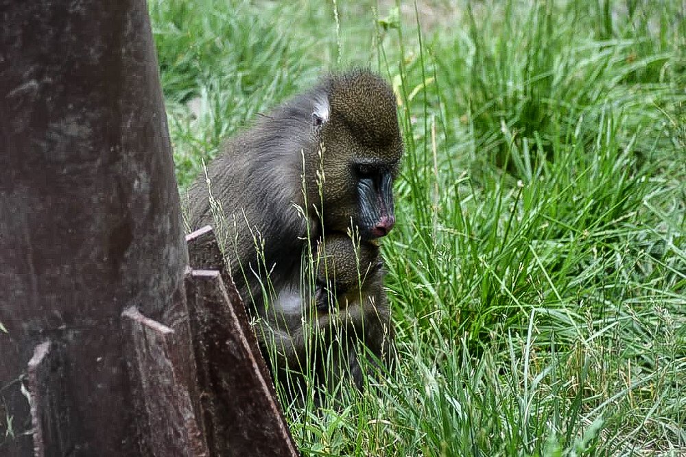 Photograph by Szilveszter Zoltan