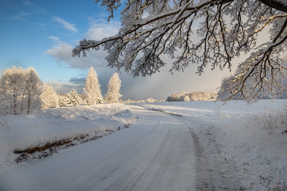 Photograph by Dace Spalviņa