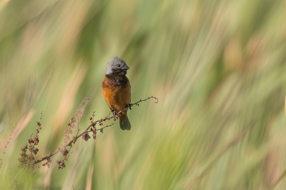 Photograph by Pablo Re