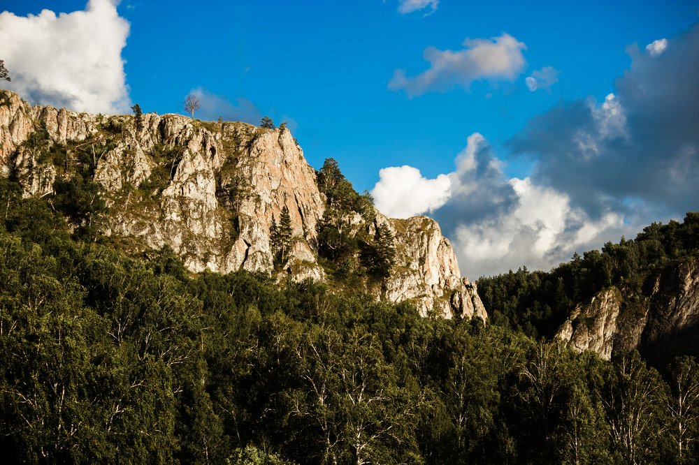 Фотография автора Надежда Саблина