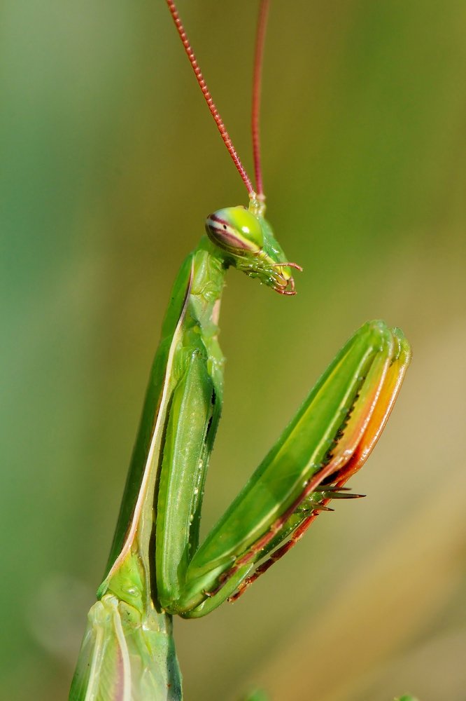 Photograph by Людмила Шалина