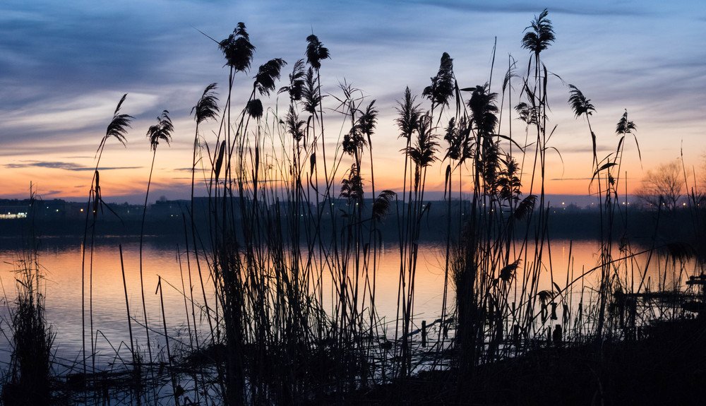 Photograph by Алексей Михайленко